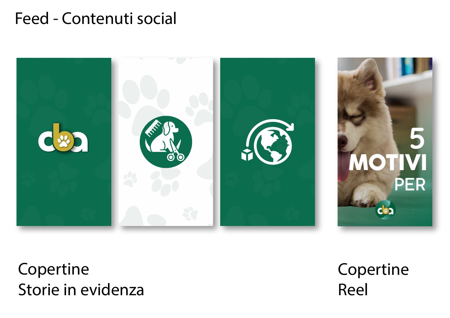 Centro Benessere Animali, tavola 6